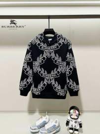 Picture of Burberry Hoodies _SKUBurberryXS-L24cr231891